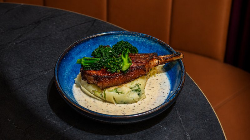 Special SEAGOEHOCMS01